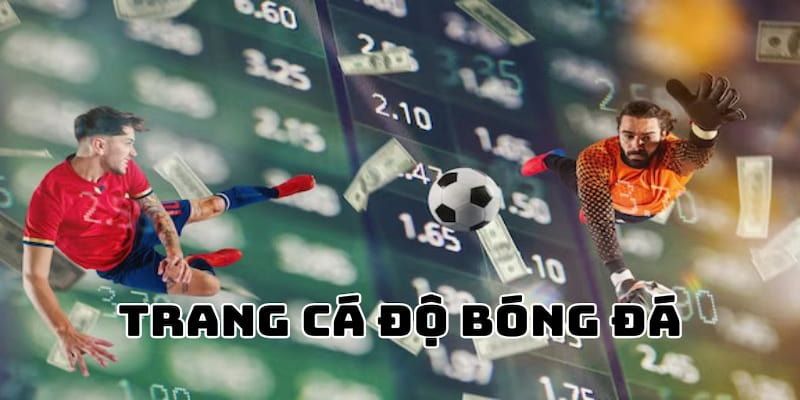 Giới thiệu trang cá độ bóng đá