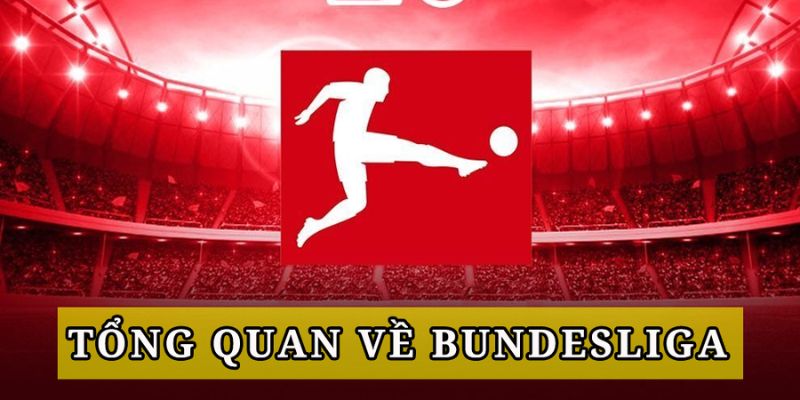 Tổng quan kèo bóng đá Đức