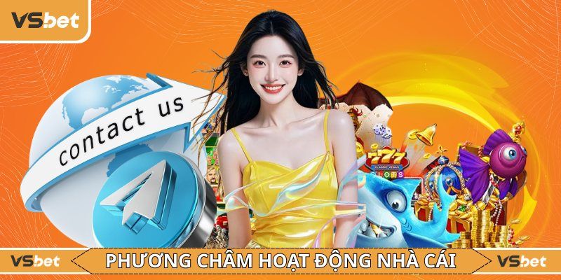 Dịch vụ hỗ trợ Vsbet